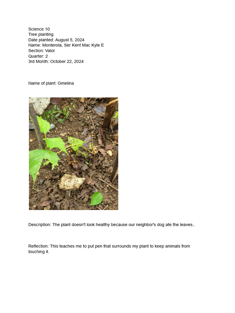 Science Tree Planting Pdf