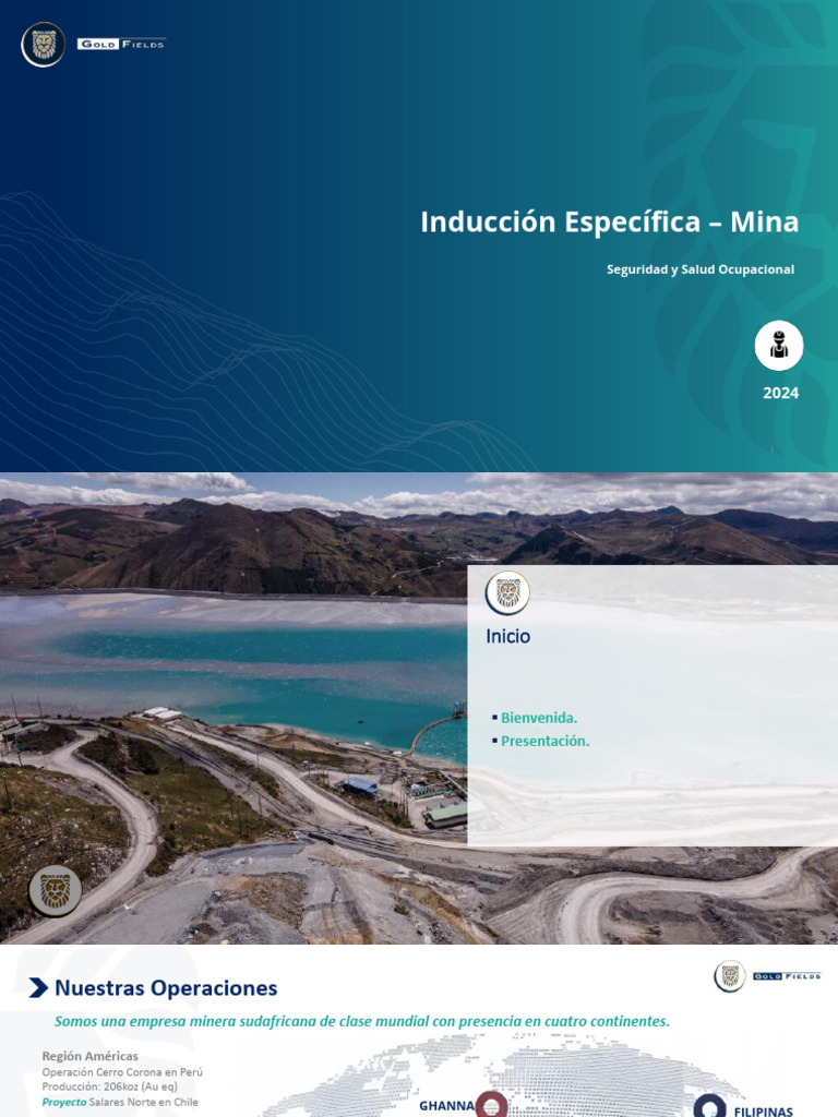 2024 Induccion Especifica Mina | PDF | Minería