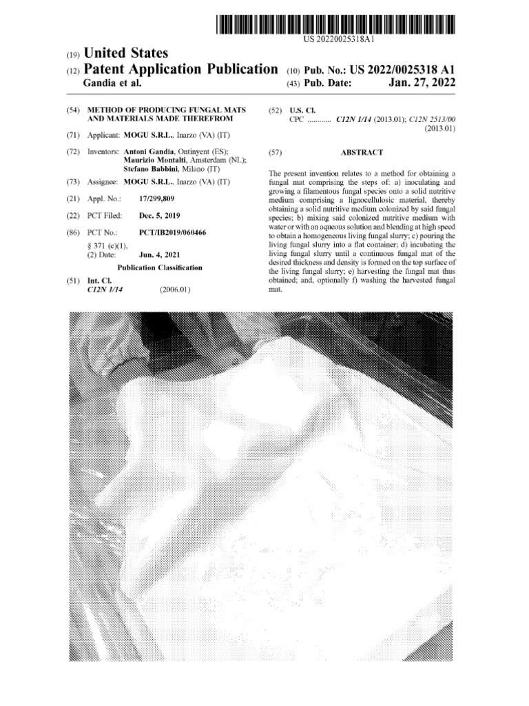 Liquid method Mycotex | PDF | Fungus