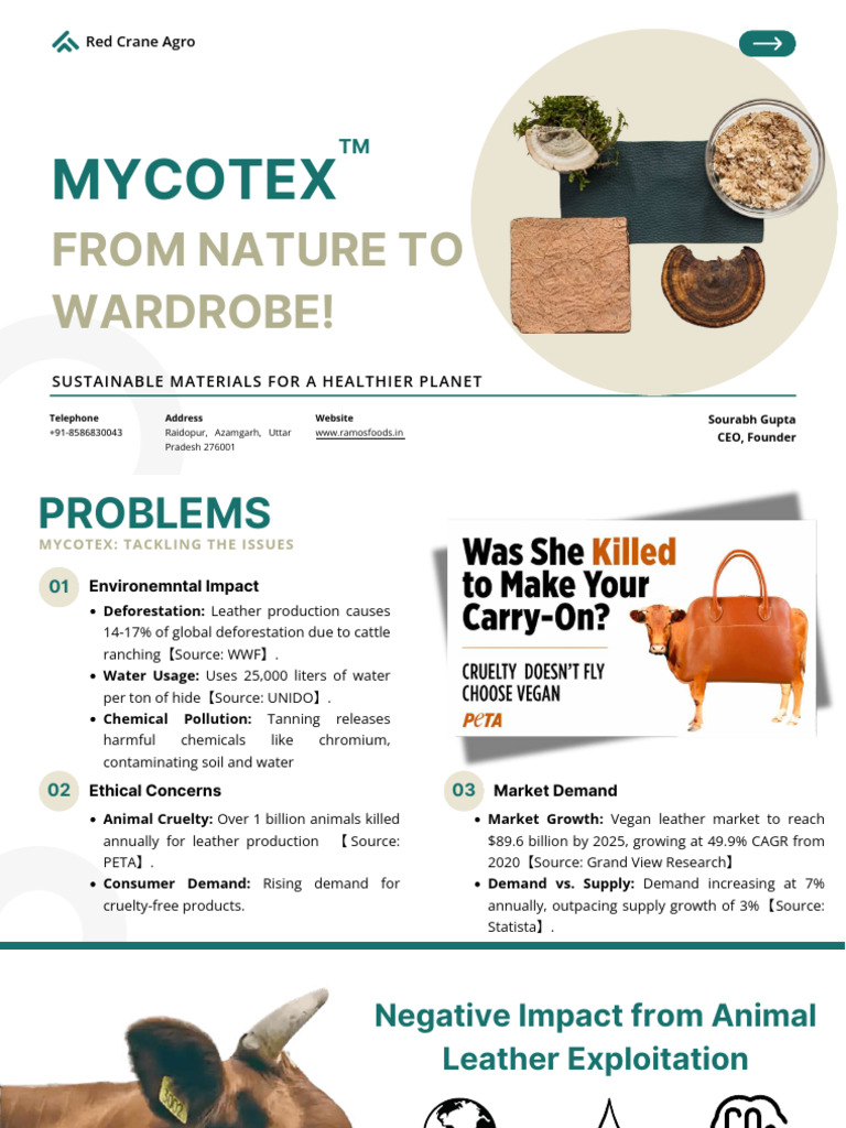 Mycotex Pitch Deck | PDF | Leather | Environmental Degradation