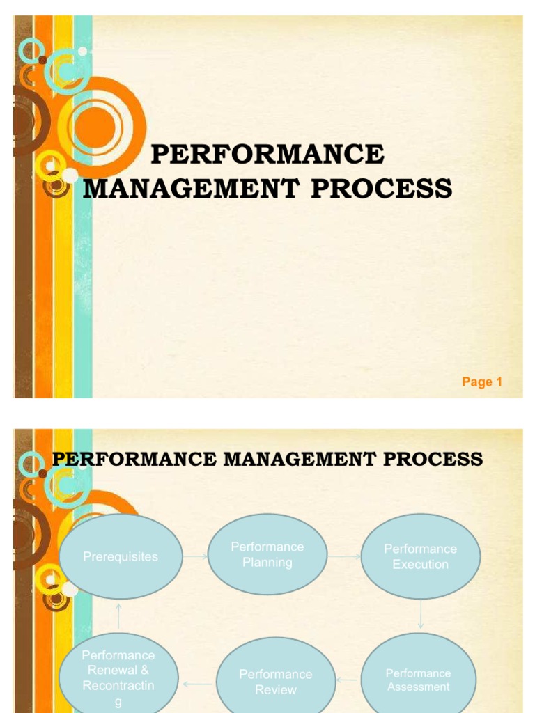 PM Process | PDF