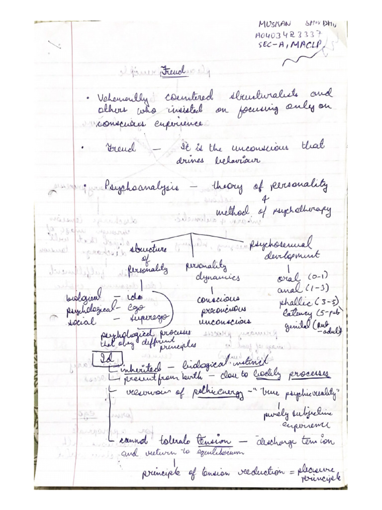 Freud Notes | PDF