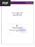 Meezan Bank Exchange Rate Monetary Policy - 