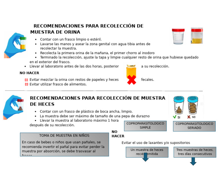 Recomendaciones para recolectar muestras de heces y orina | PDF