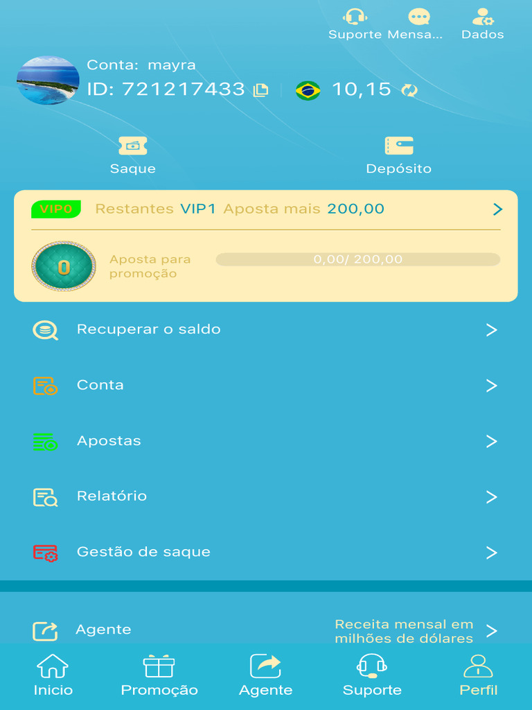 Gestão de Saldo e Apostas VIP | PDF