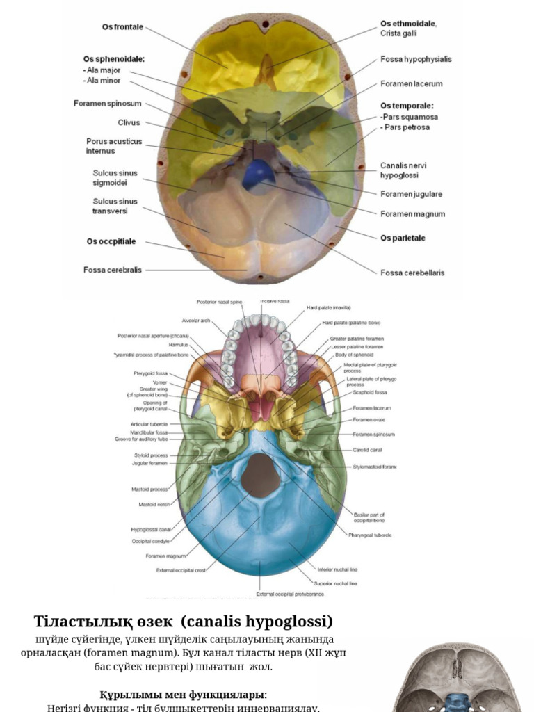 Эмили Браунинг жалаңаш