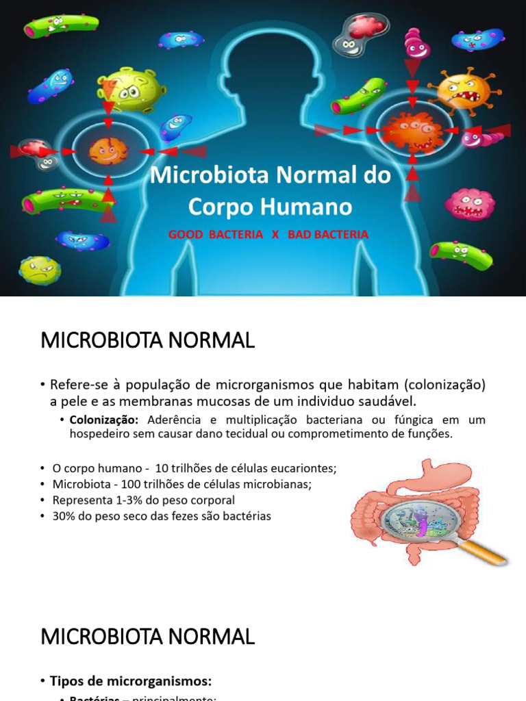 Microbiota Normal do Corpo Humano | PDF | Microrganismo | Bactérias