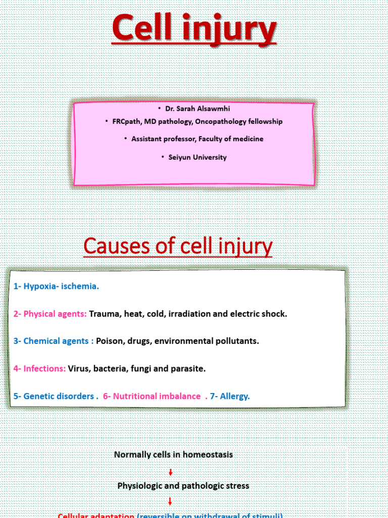 Causes and Mechanisms of Cell Injury | PDF | Mitochondrion | Necrosis