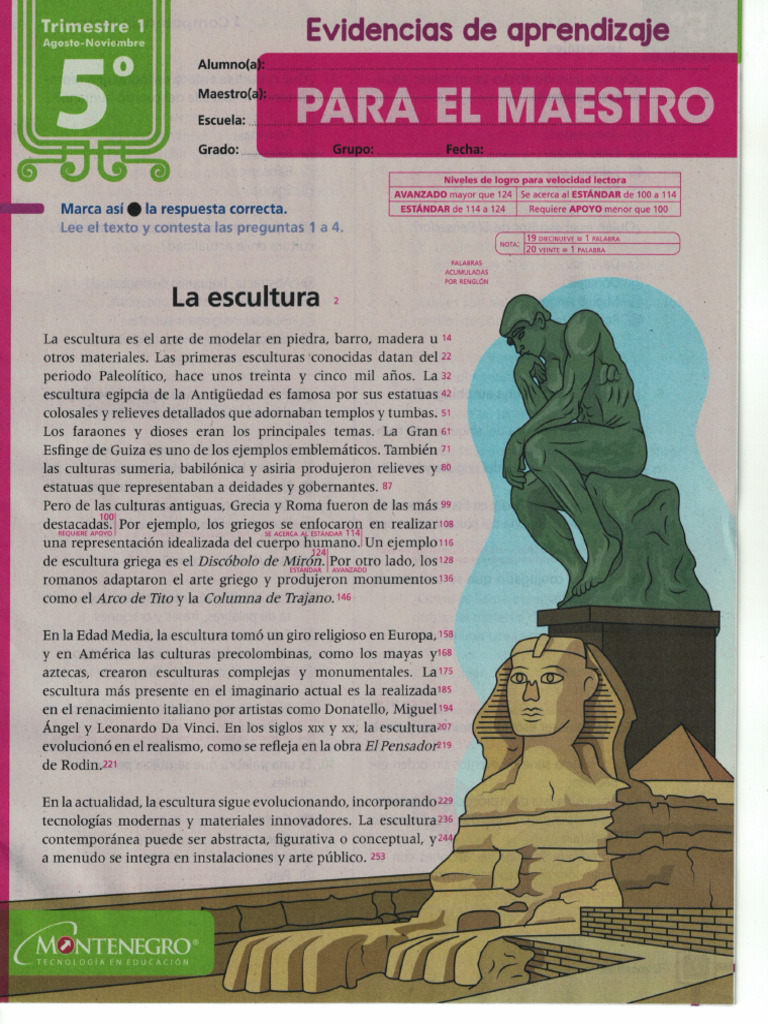 5º Mda Cont Tri 1 | PDF