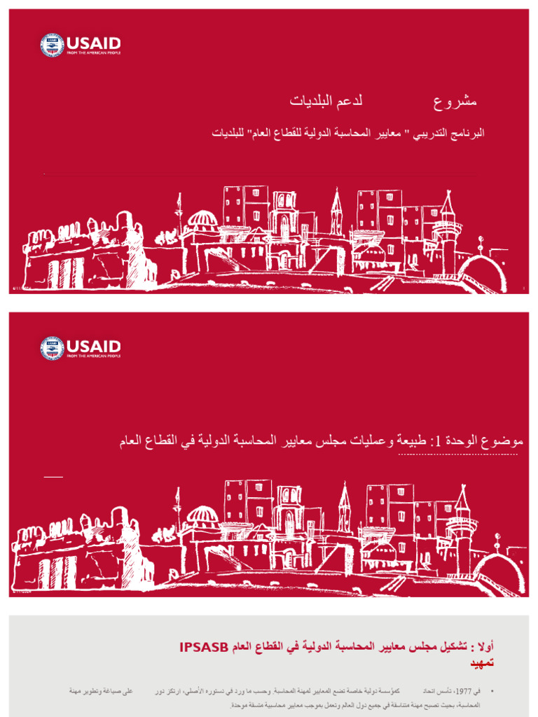IPSAS Training Material - Platform | PDF
