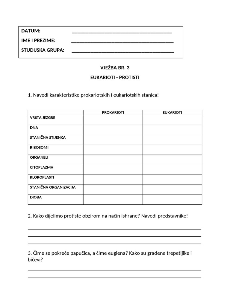 Protokol 3 | PDF