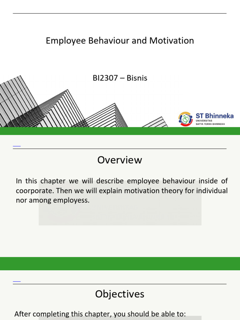 Employee Behavior and Motivation Strategies | PDF | Motivation ...