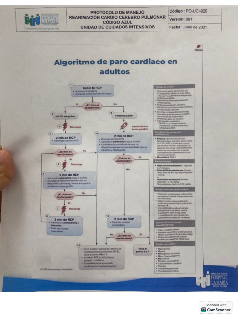 RCCP - Código Azul | PDF