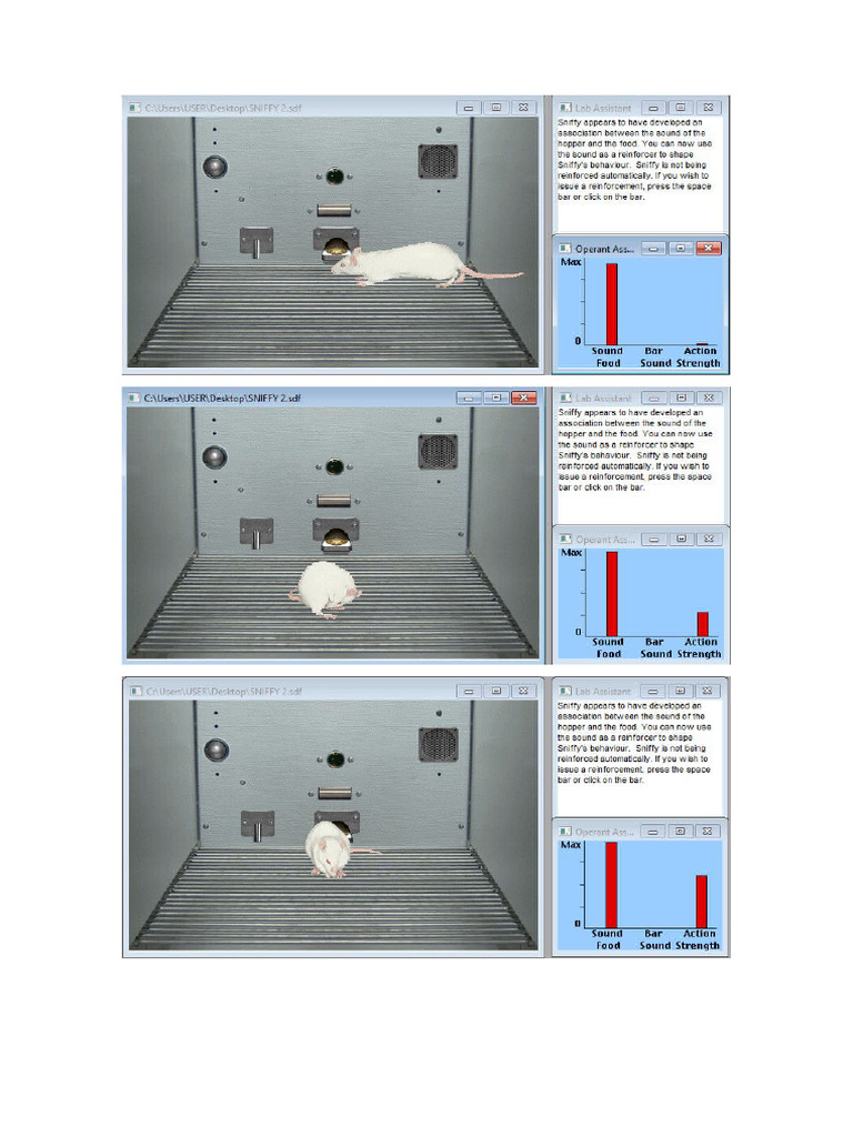 SNIFFY | PDF