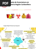 Clasificación de RPBI y Ejemplos | PDF