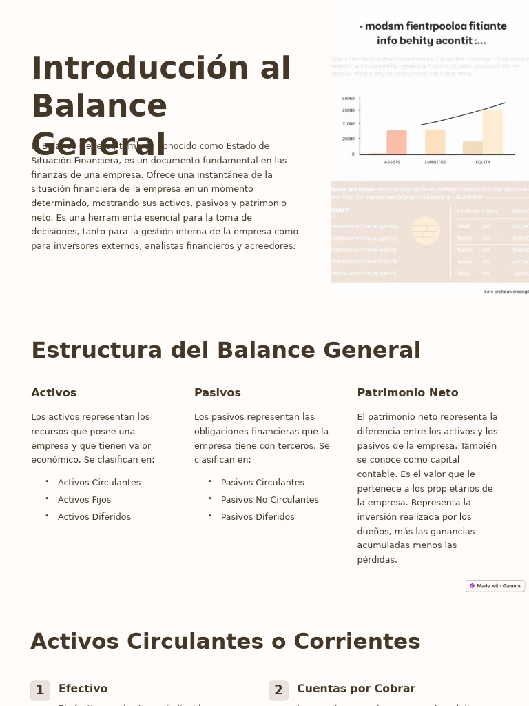 Introduccion Al Balance General | PDF | Hoja de balance | Business