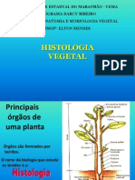 Aula Histologia