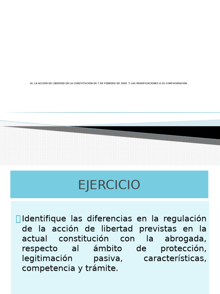 Accion de Libertad | PDF | Habeas corpus | Caso de ley