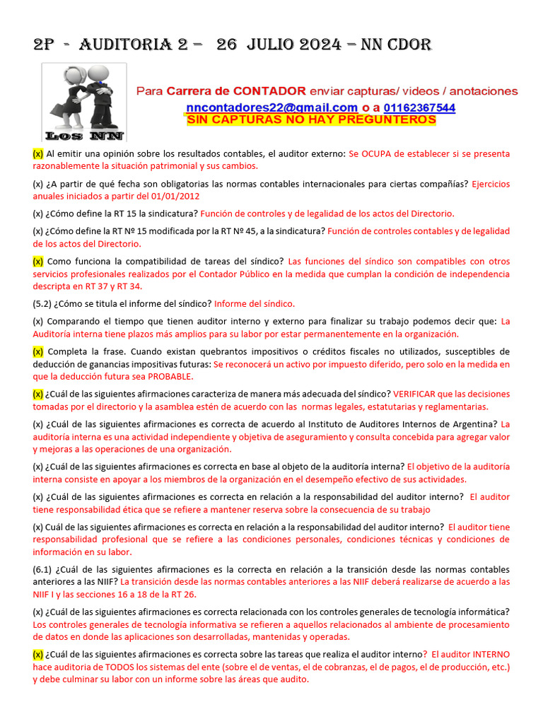 Auditoría y Normas Contables 2024 | PDF | Auditoría | normas ...