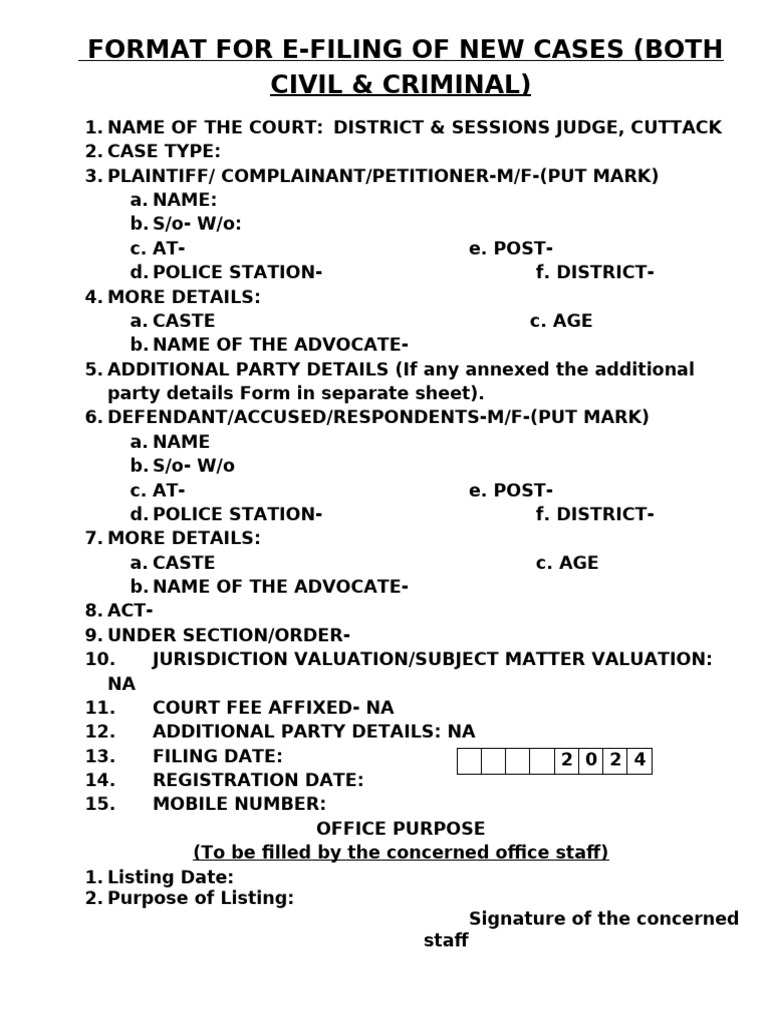 E-Filing Format for New Cases | PDF | Law