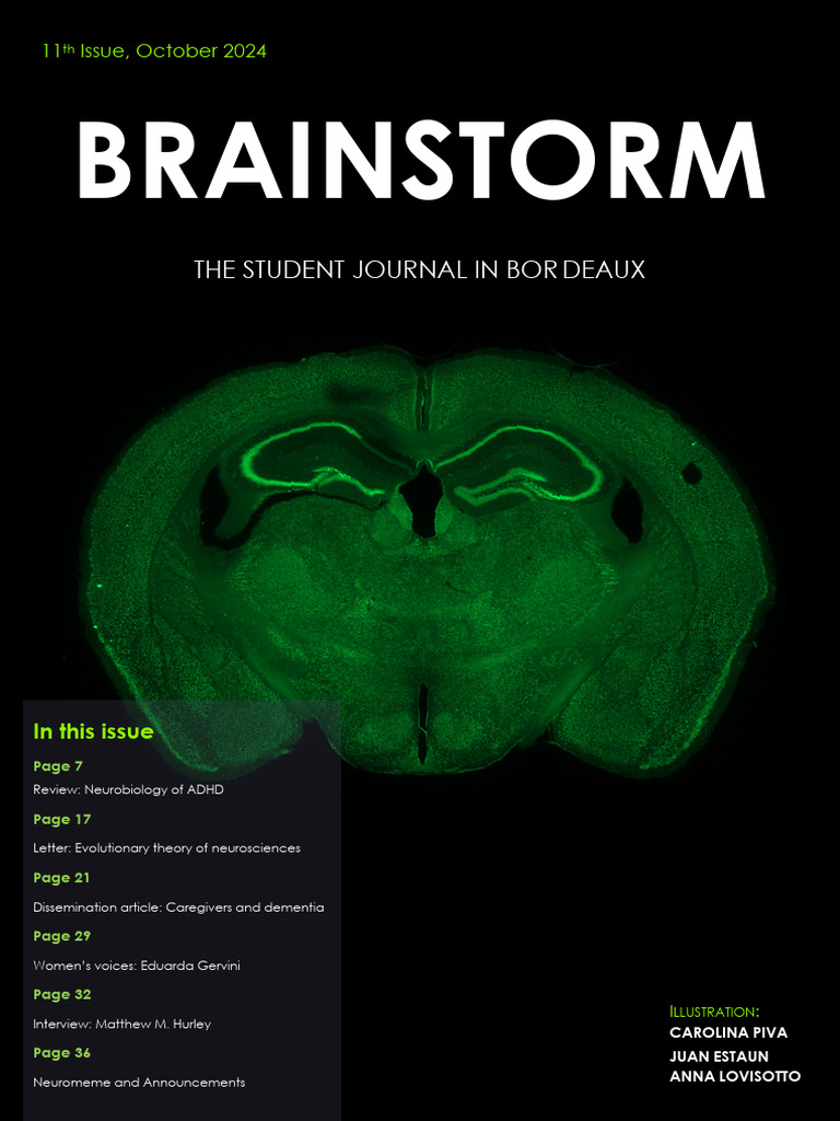 Brainstorm 11 | PDF | Attention Deficit Hyperactivity Disorder | Dopamine