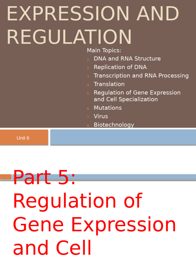 Unit+6+Notes+Part+2 +Gene+Expression+and+Regulation | PDF | Operon ...