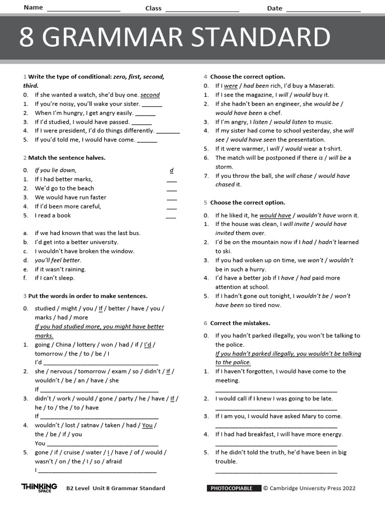 Conditional Sentences Practice Guide | PDF
