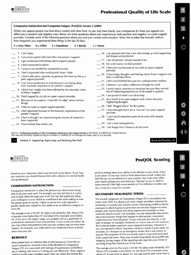 PQOL Scale | PDF