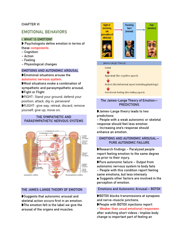 Chapter Vi Emotional Behaviors | PDF | Amygdala | Fear