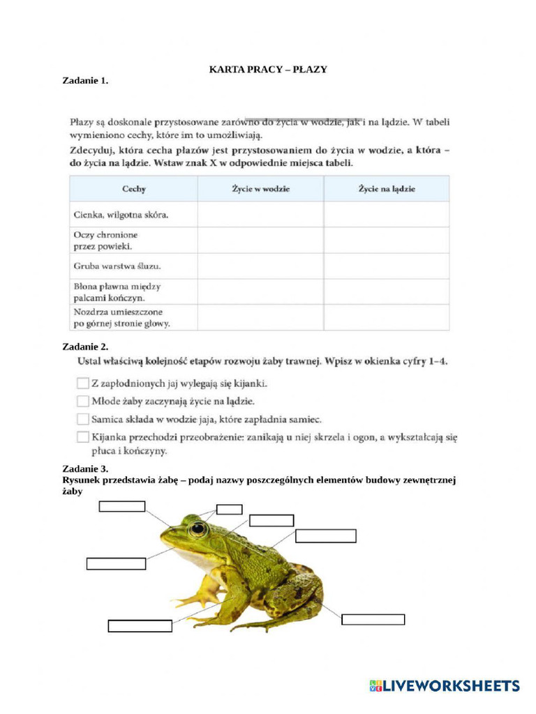 Karta Pracy - Płazy | PDF