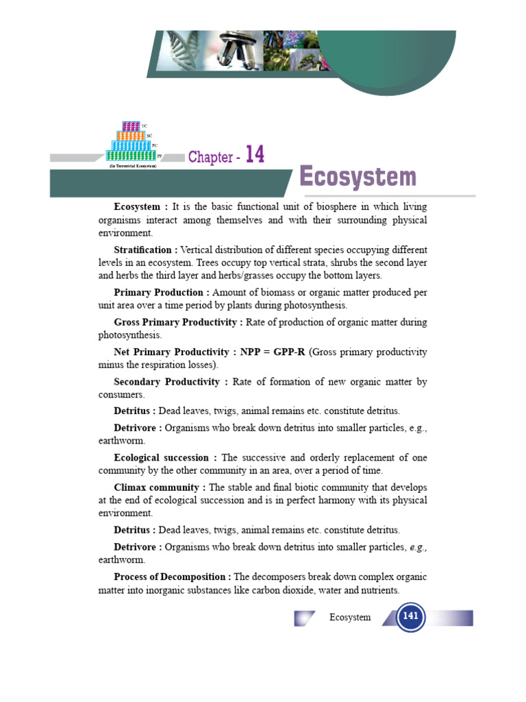 12 Biology Revision Questions 2017 18 Chapter 14 | PDF | Ecosystem ...