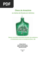 Oleos_da_Amazonia