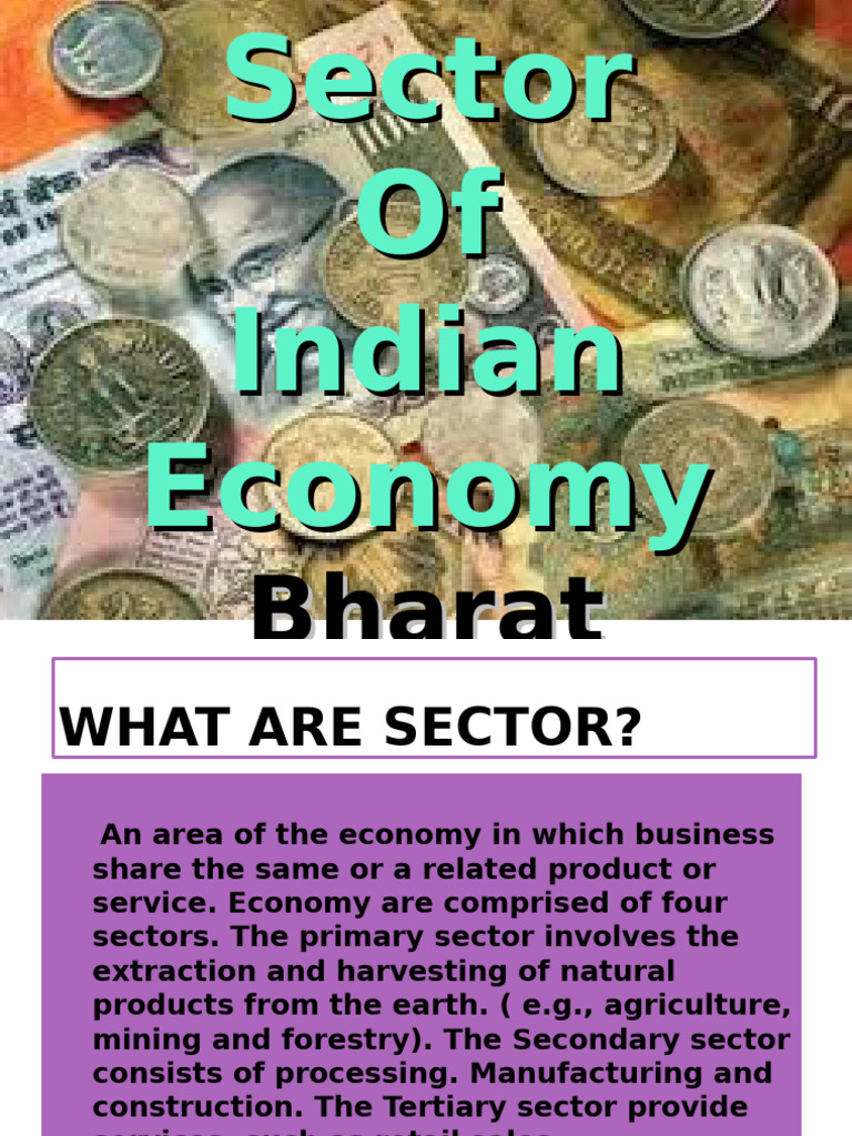 Sectors of the Indian Economy Explained | PDF | Employment | Business