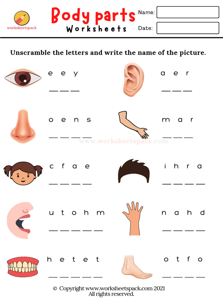 Body Parts Worksheets Write Worksheets Unscramble The Letters | PDF