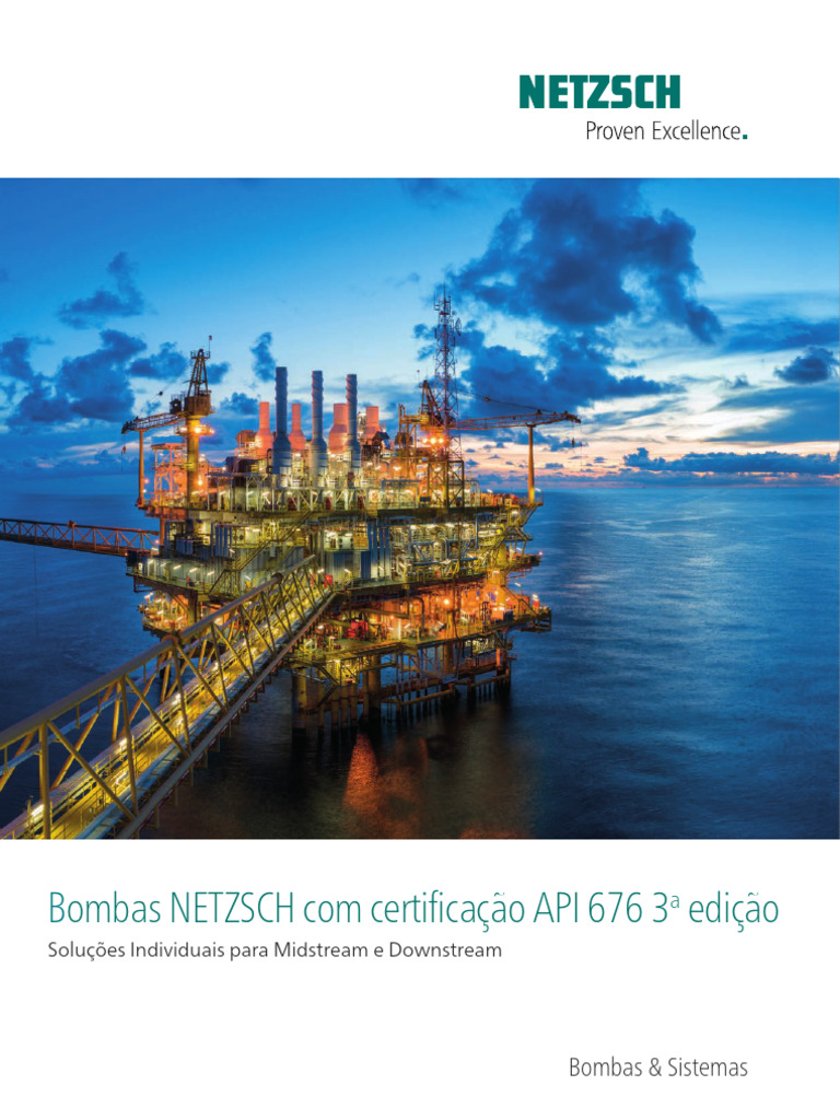 Cms Files 204971 1697806235bombas Netzsch Com Certificao API 676 3a 1 ...