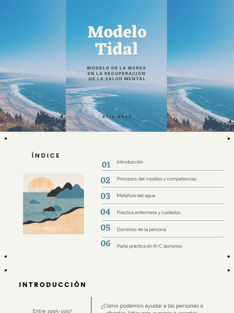Modelo Tidal en Práctica Enfermera | PDF