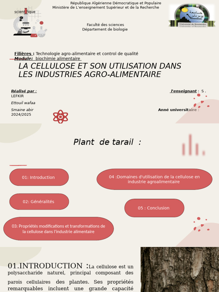 utilisation-de-la-cellulose-en-agroalimentaire-pdf-fibre