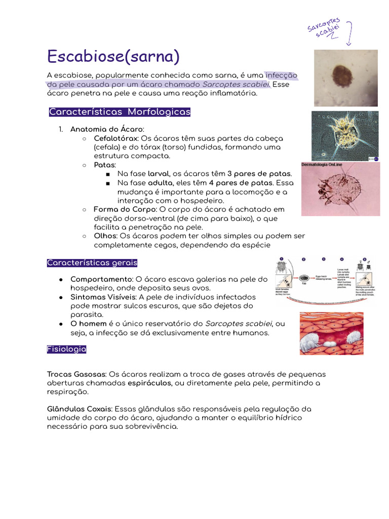 Escabiose (Sarna) | PDF | Doenças e distúrbios | Especialidades médicas