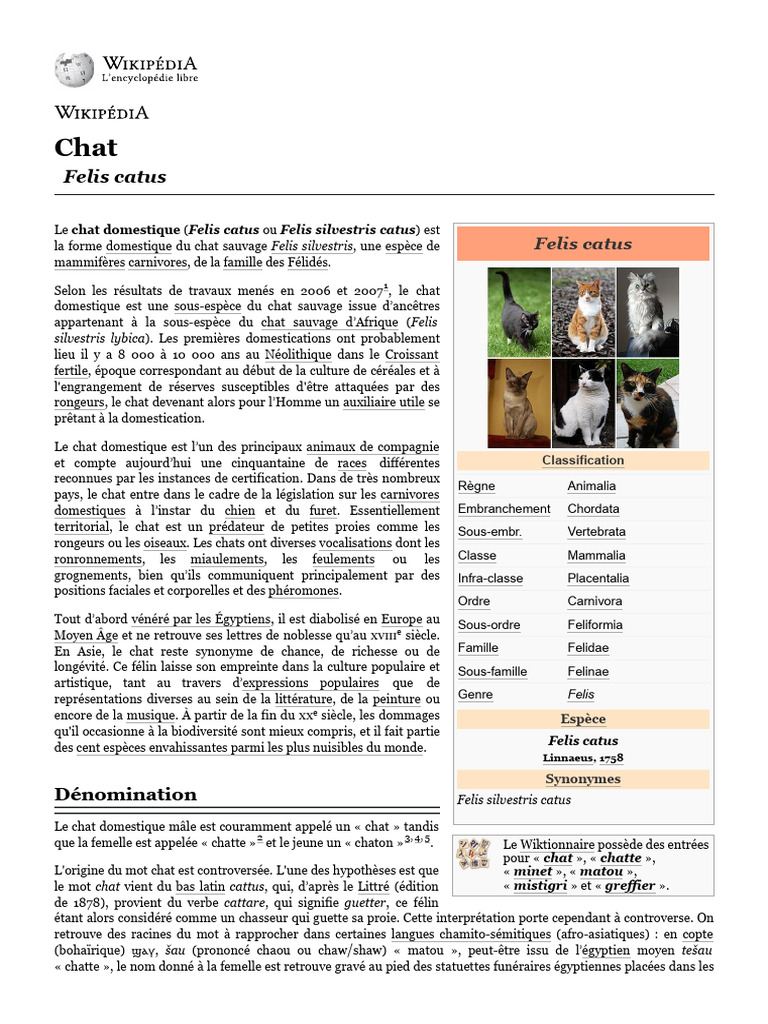 Classification et caractéristiques du chat | PDF | Chats | Sommeil