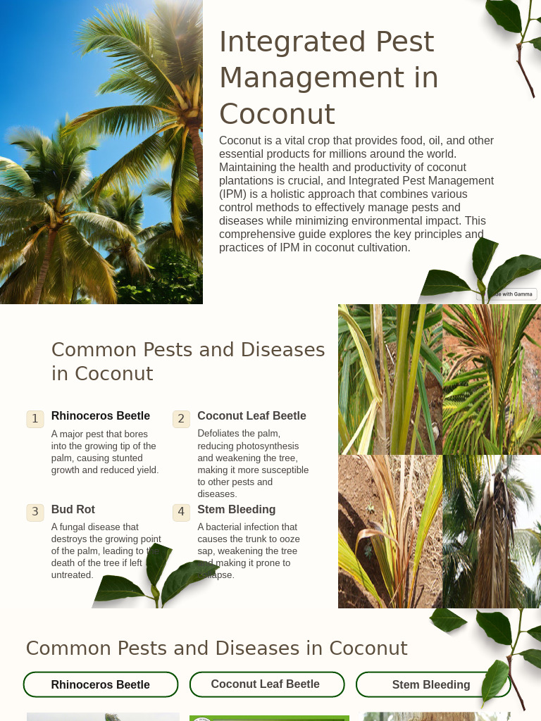 Integrated Pest Management in Coconut | PDF | Pest (Organism) | Coconut