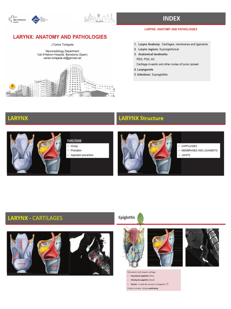 LARYNX ANATOMY AND PATOLOGY - Dr. Bustelo | PDF | Larynx | Human Head ...