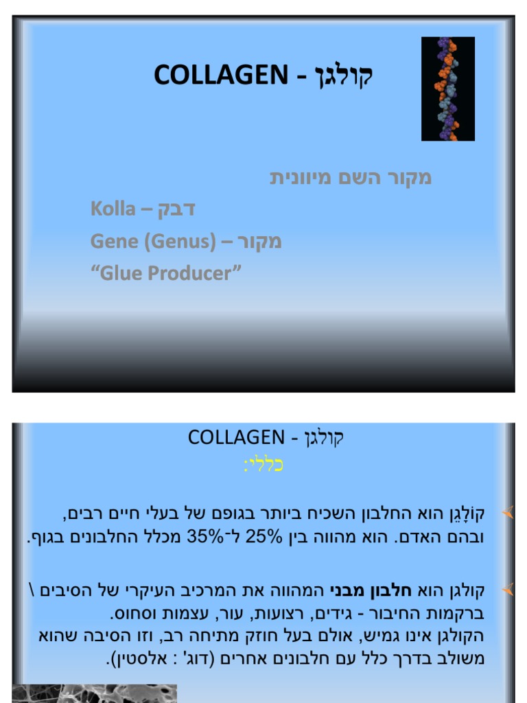Collagen | PDF | Science & Mathematics