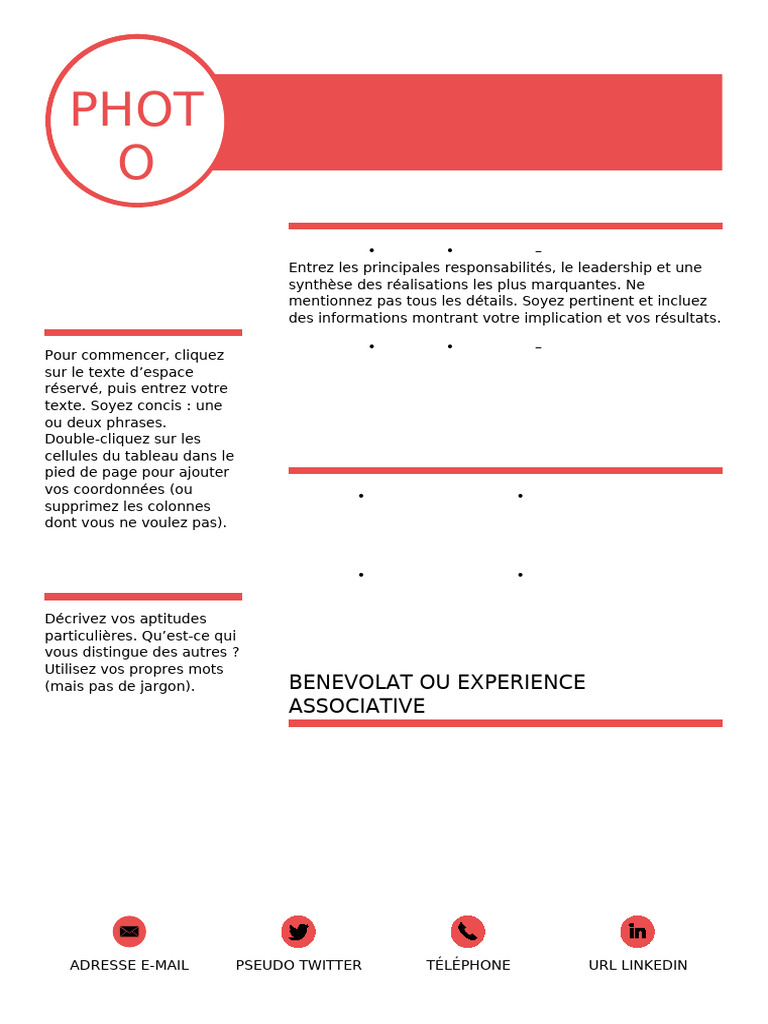 Didier Fle Edito Pro b1 CV Chronologique | PDF