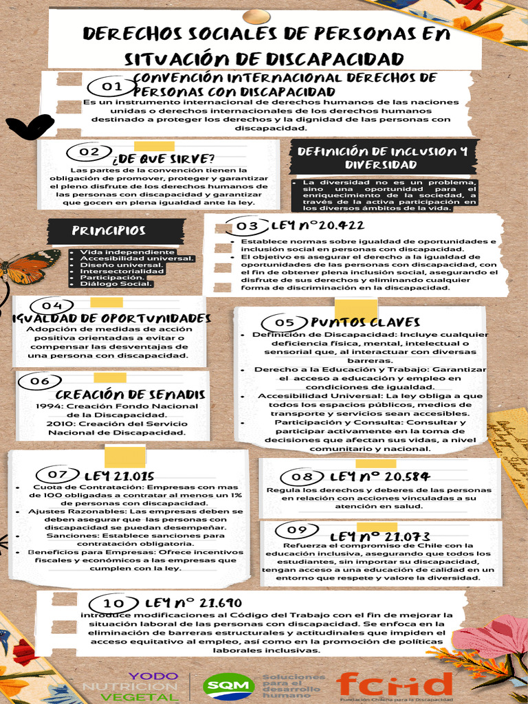 Inclusión y Derechos de Personas con Discapacidad | PDF | Invalidez ...