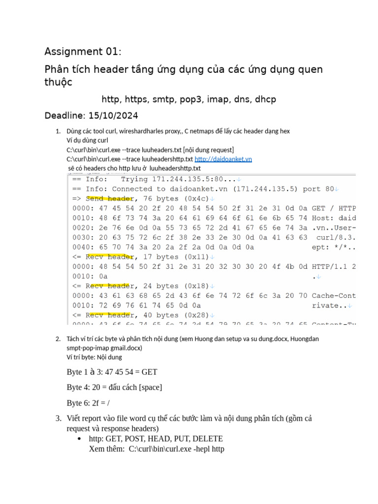 03-Assignment 03 | PDF