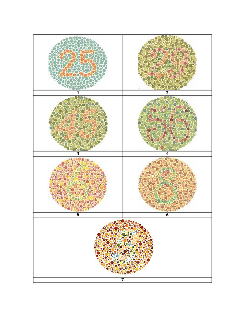 Tes Buta Warna 2 | PDF