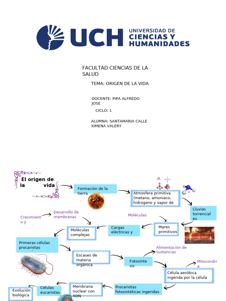 El Origen de La Vida Biologia 1 | PDF