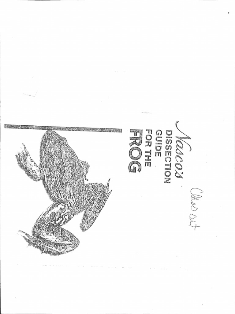 Frog 2 | PDF