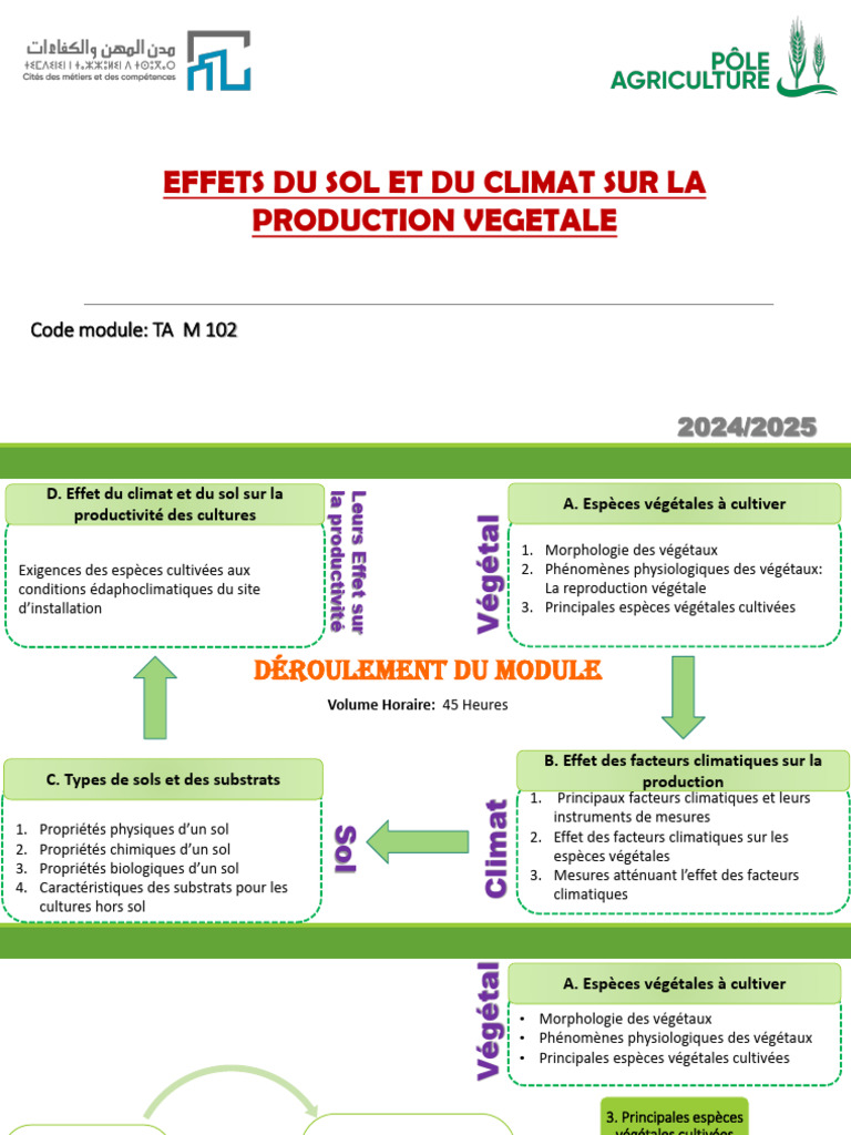 Effet Sol Climat Sur La Production 2024 | PDF | Feuille | Tige (Plante)