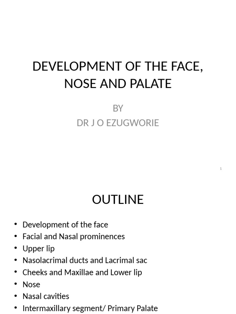 Development of The Face | PDF | Human Nose | Human Head And Neck